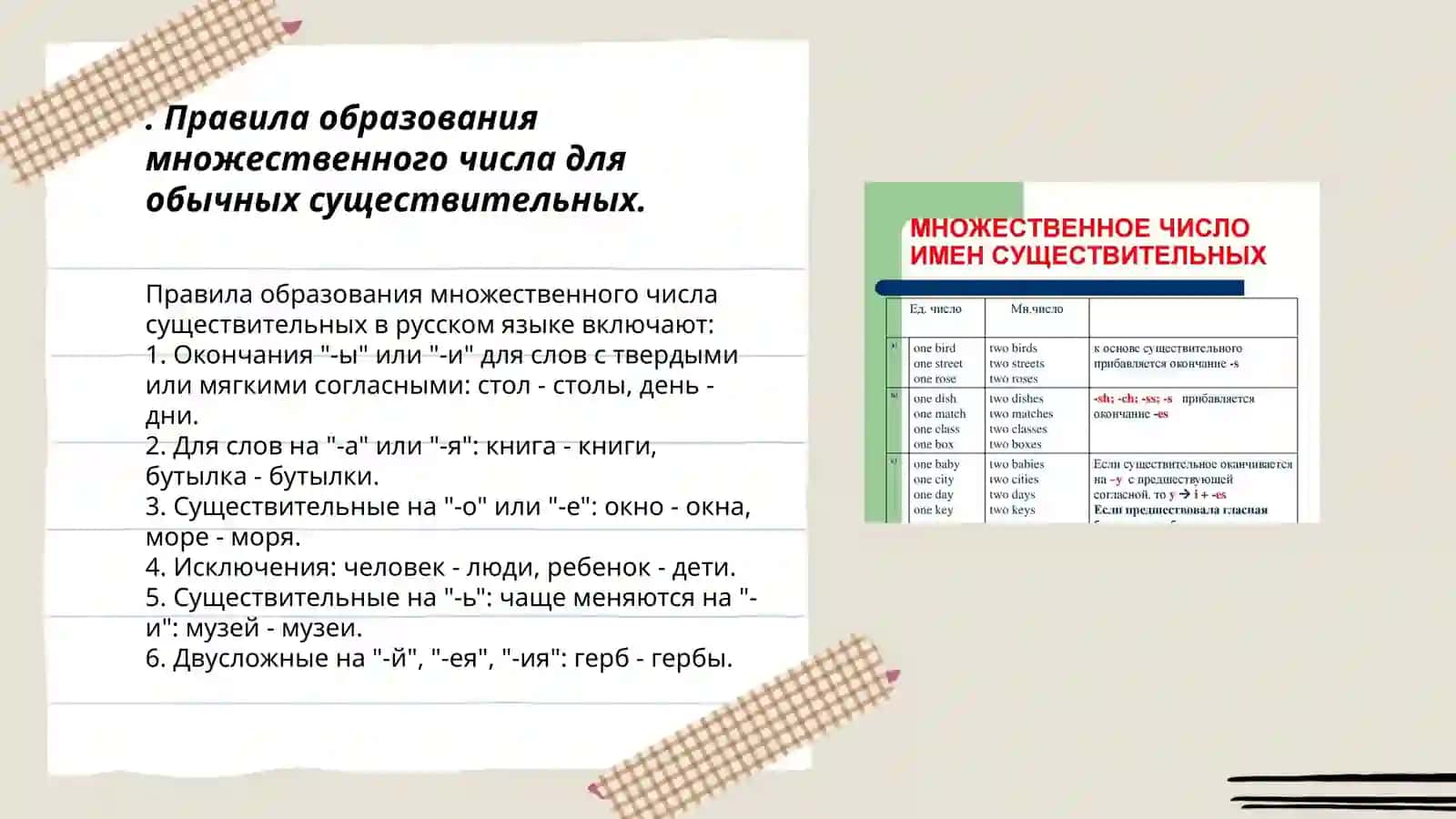 Множественное число имен существительньх 3