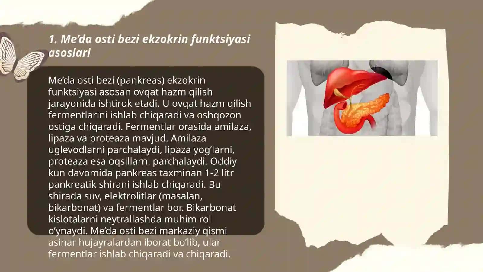Me’da osti bezi ekzokrin funktsiyasini neyrogumoral boshqarilishi 3
