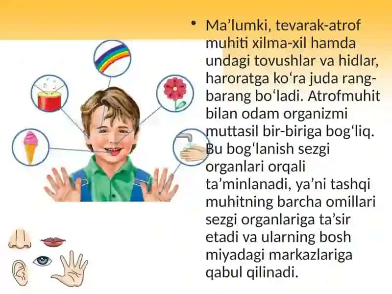 Abu Ali Ibn Sino nomidagi jamoat salomatligi texnikumi guruh talabasi Zokirova Umida Shavkatjonovna Mustaqilishisi 3