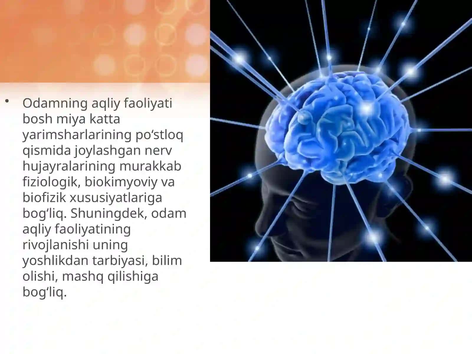 Miyava uning modulyatsiya tizimi 3