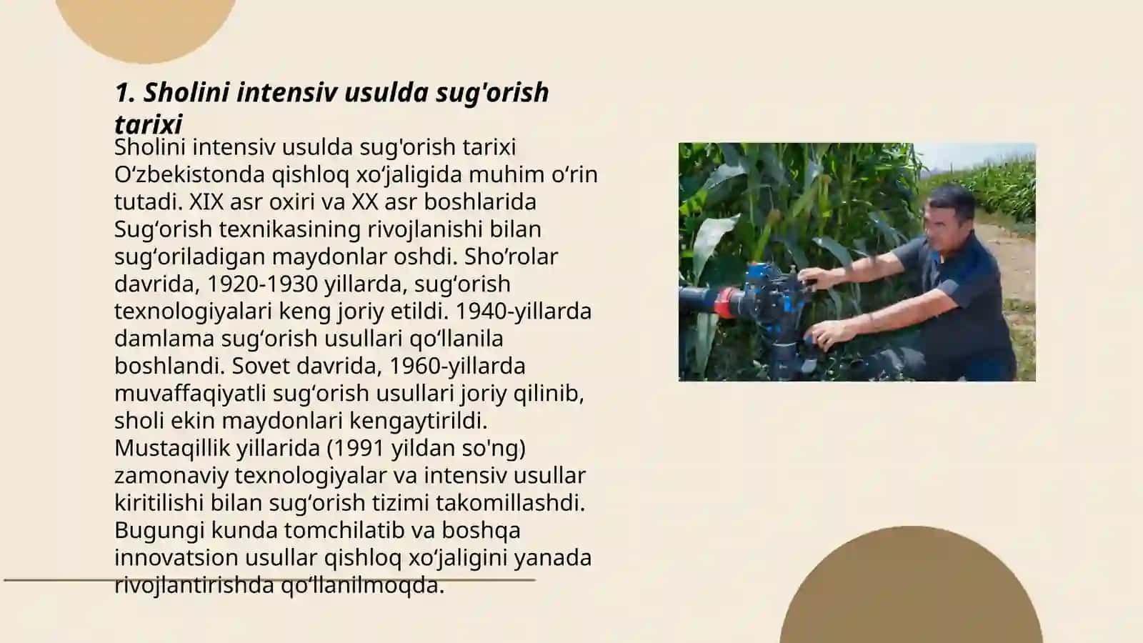 Sholini intensiv usulda sug'orish tarixi 3