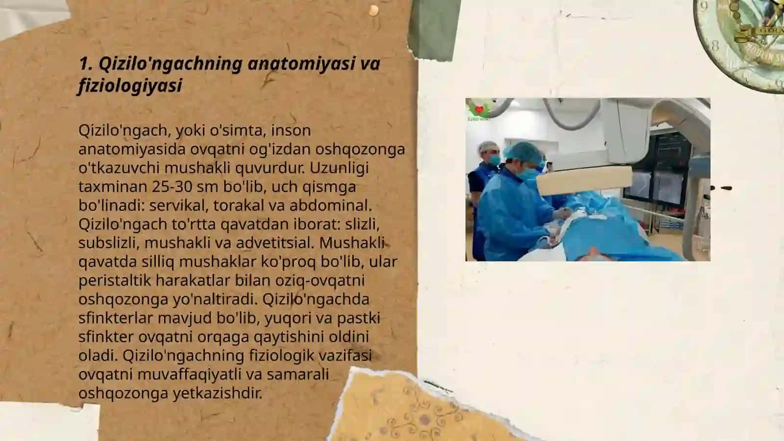 Qizilo'ngachning tug'ma va orttirilgan nuqsonlari va xirurgiyasi 3