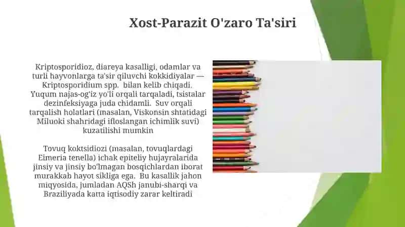 Sporalilarsinfi, koksidyalarturkumi 3