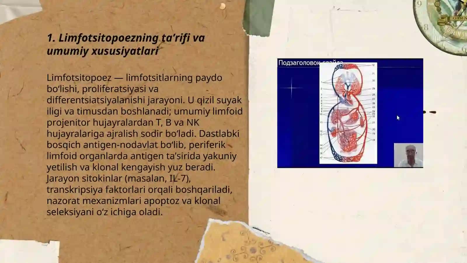 Limfotsitopoezning xususiyatlari 3