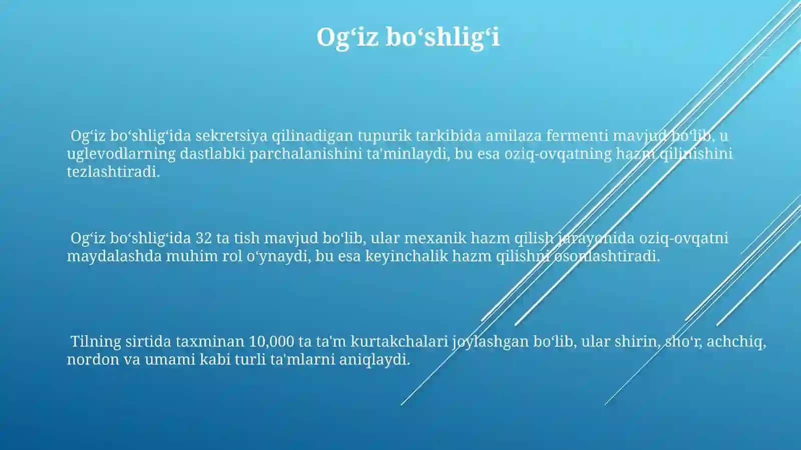 Ovqat hazm qilish aʼzolari 3