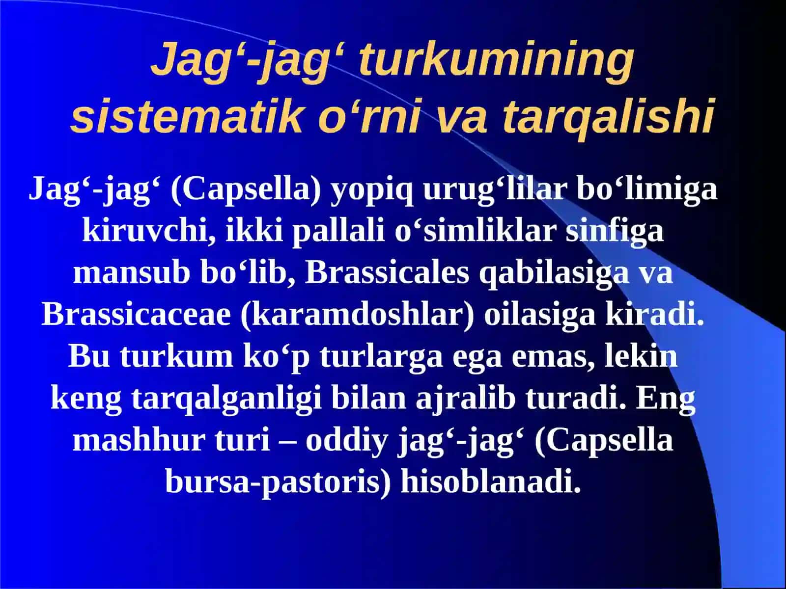 Jag‘-jag‘(Capsella Medik)o‘simligining umumiy tavsifi 3