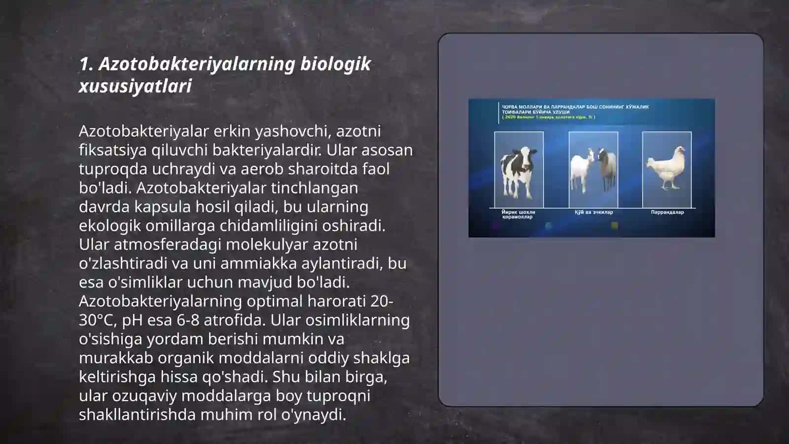 Azotobakteriyalar va ularni qishloq xoʻjaligida qoʻllashning istiqbollari 3