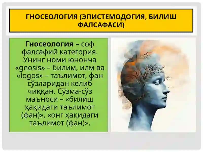 Билишнинг объекти ва субъекти 3