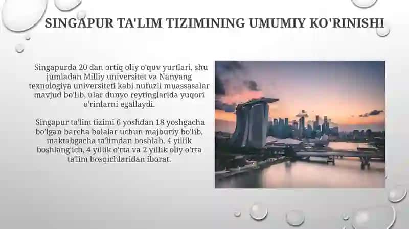 Singapur taʼlim tizimi 3