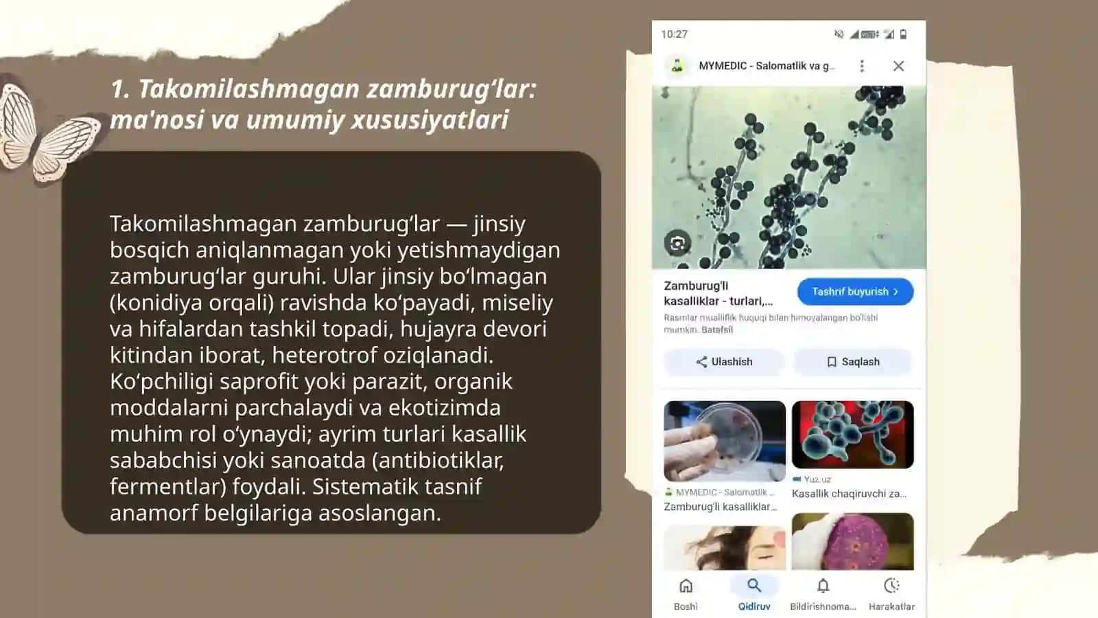 Takomilashmagan zamburugʻlar sinfi va ahamiyati 3