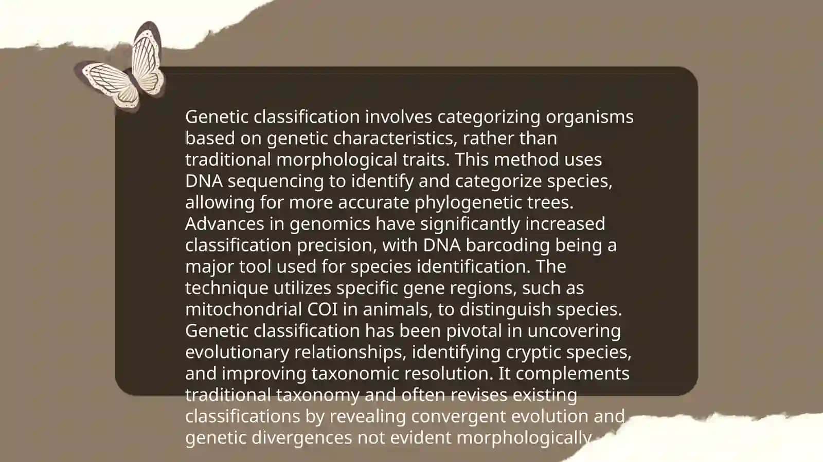 CLASSIFICATION OF COMPARATIVE TYPOLOGYE ACCORDING TO DR. BURANOV 3