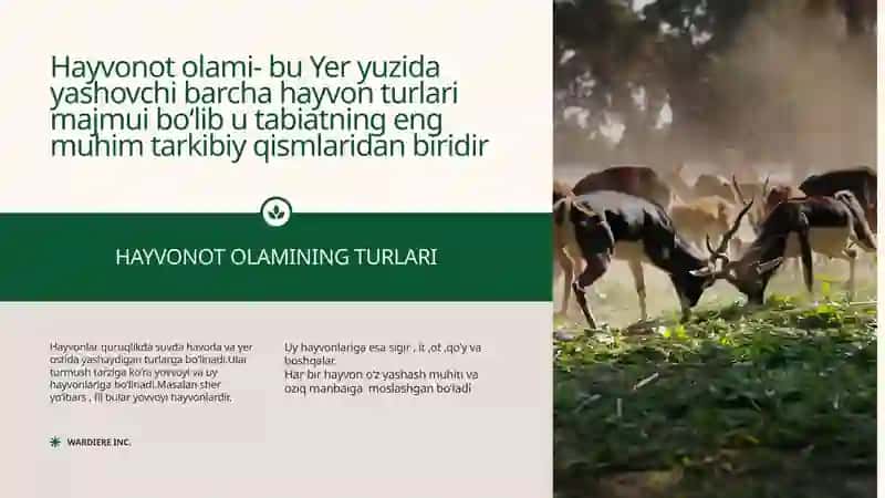 Hayvonot olamining Xilma-Xilligi 3