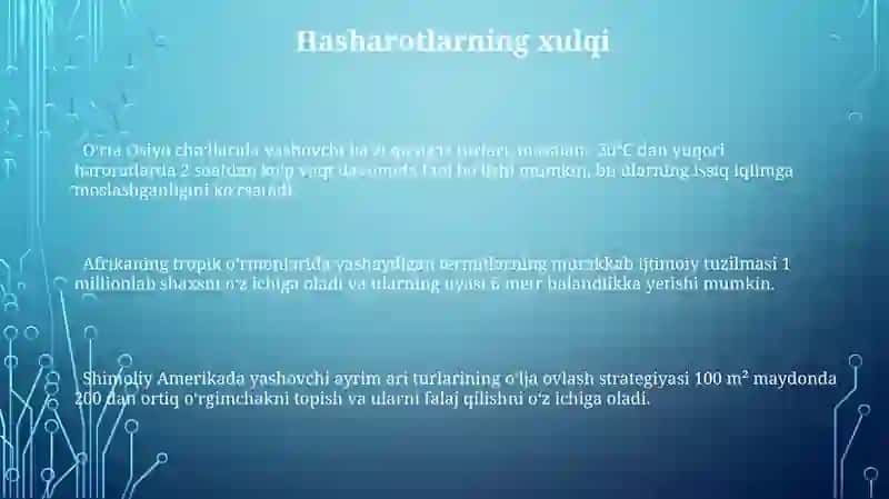 Hasharotlar 3