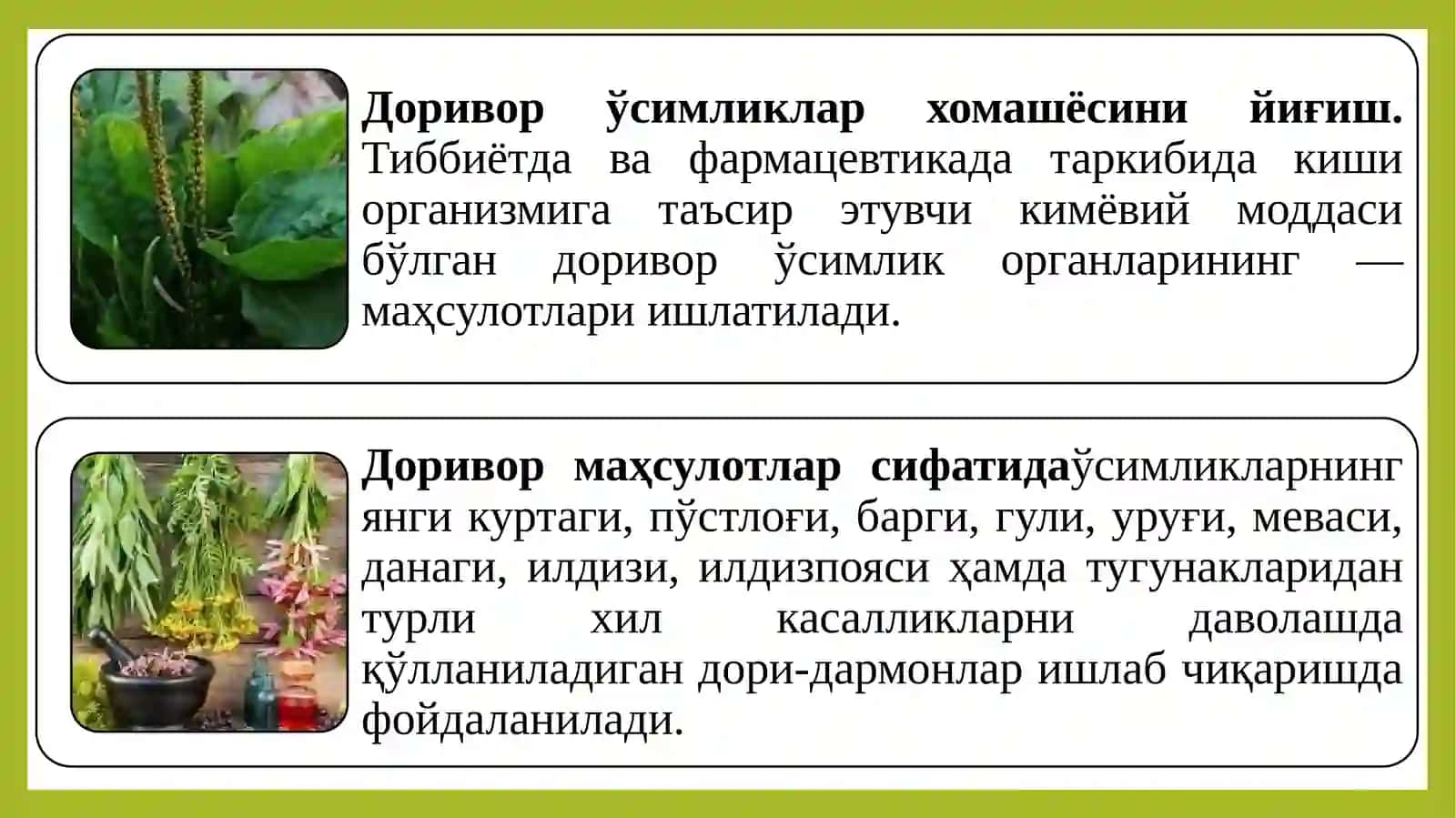 ДОРИВОРЎСИМЛИКЛАРХОМАШЁСИНИ ИШЛАТИШГАТАЙЁРЛАШ 3