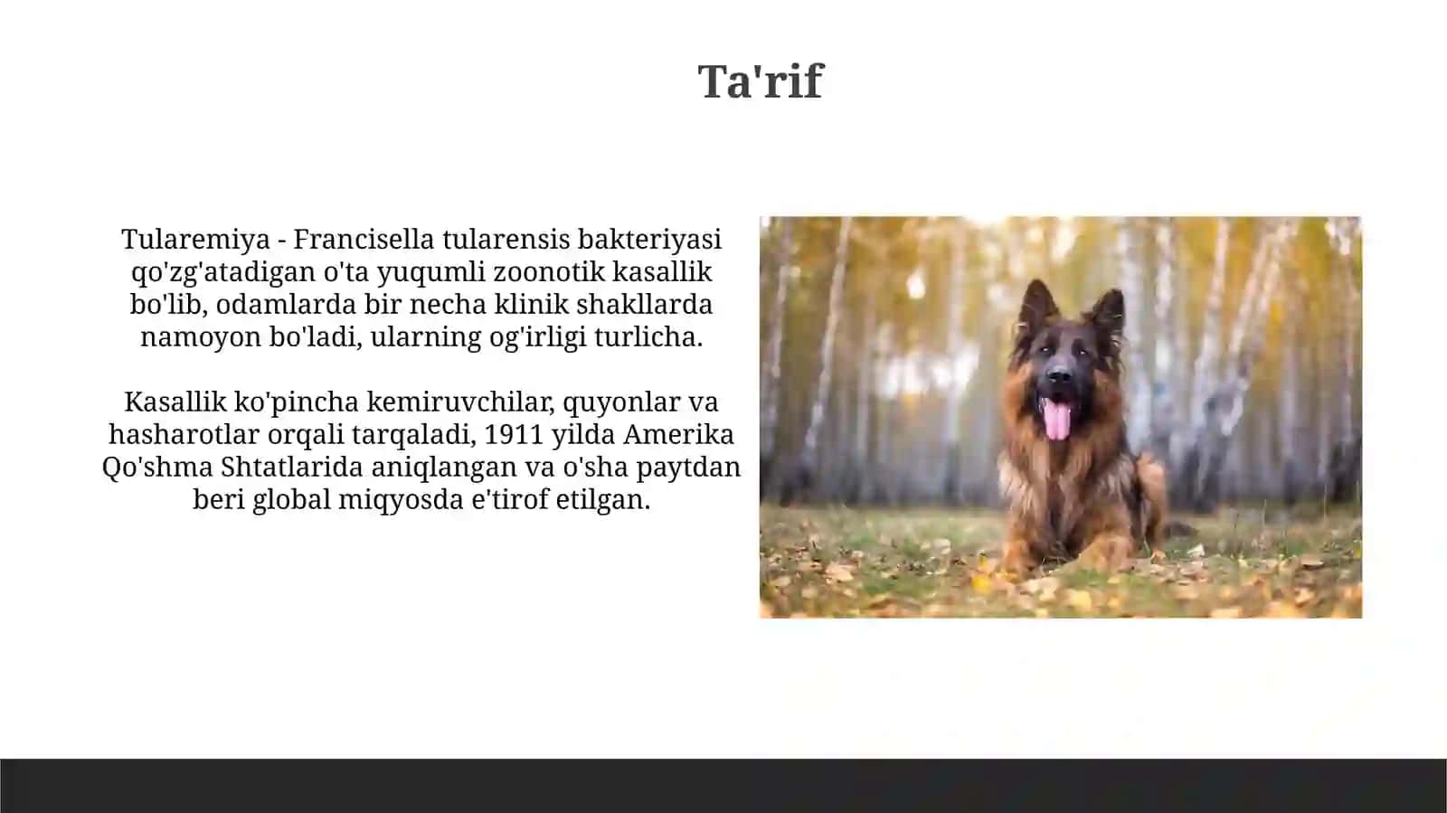 Oʻta xavfli infeksiyalar tulyaremiya 3