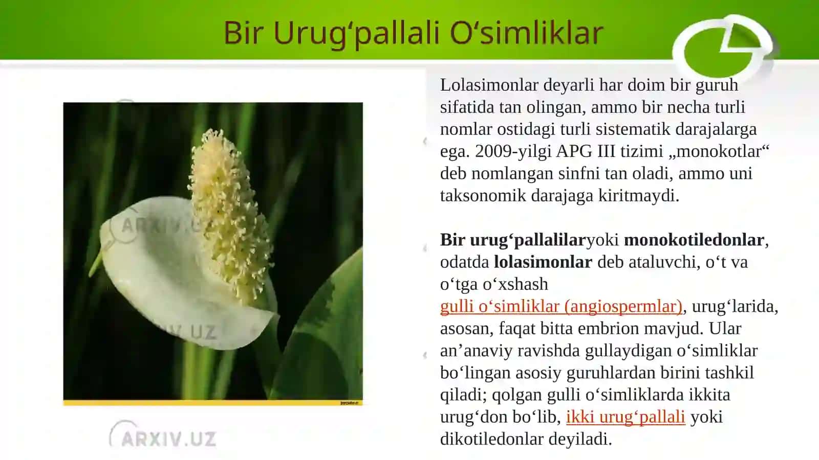 Bir urugʻpallali oʻsimliklarning oilalari 3