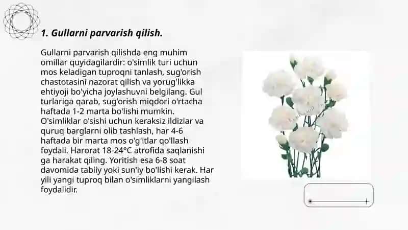 Gullar va uy gullari 3