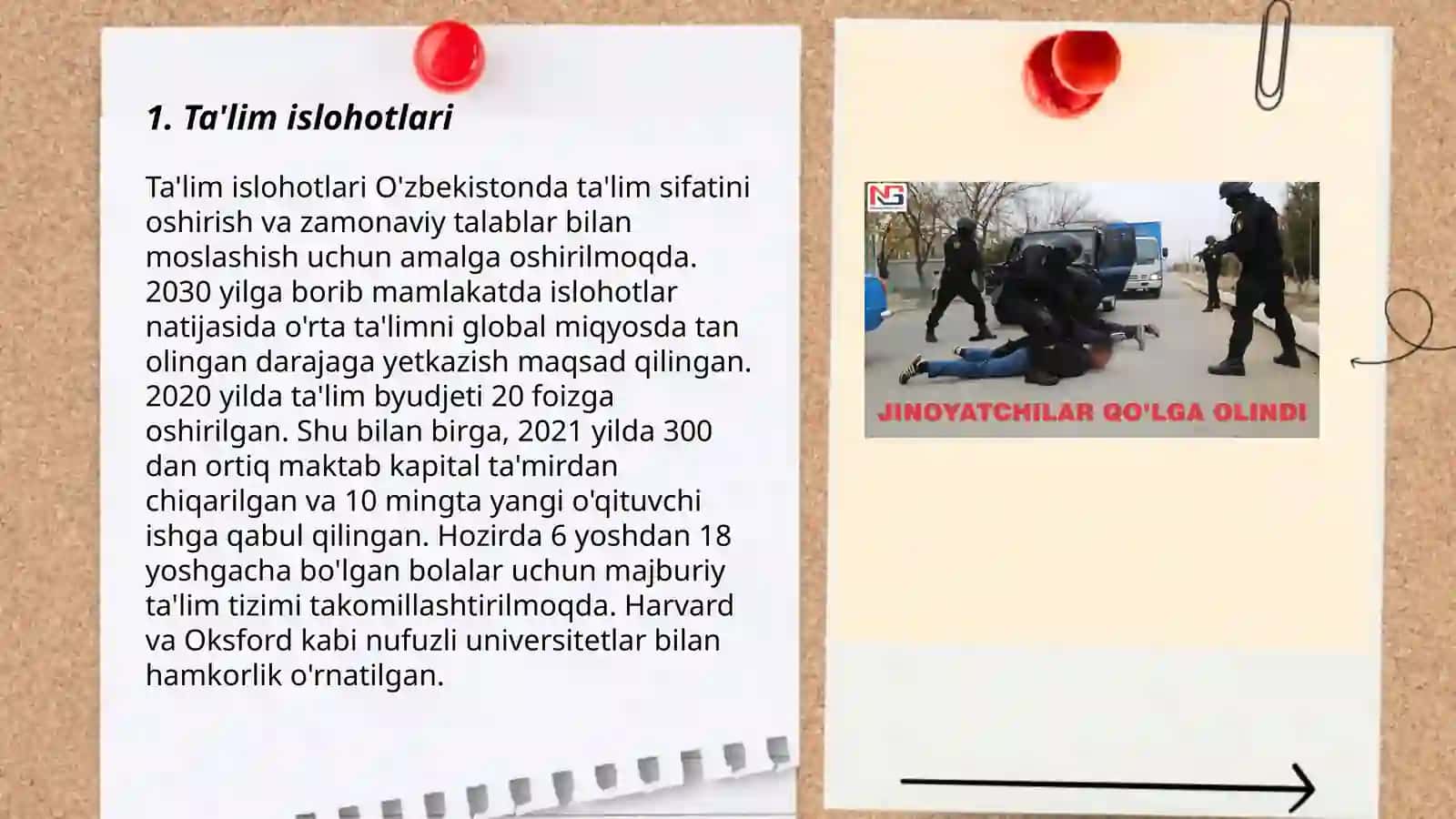 Ta'lim islohotlari 3