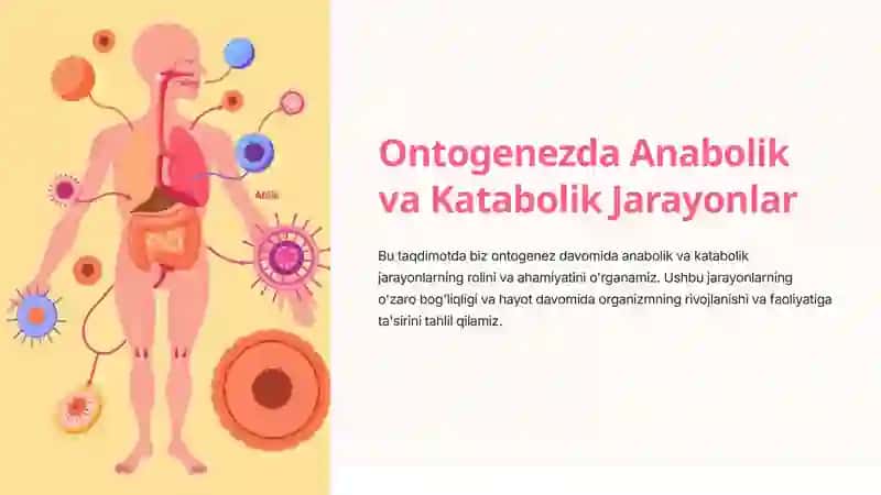 Ontogenezda Anabolik va Katabolik Jarayonlar 3
