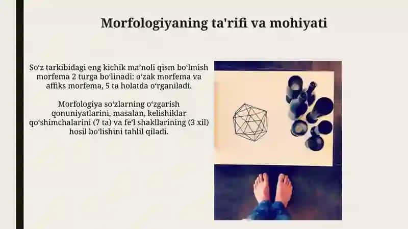 Morfologiyada morfologik birliklar 3