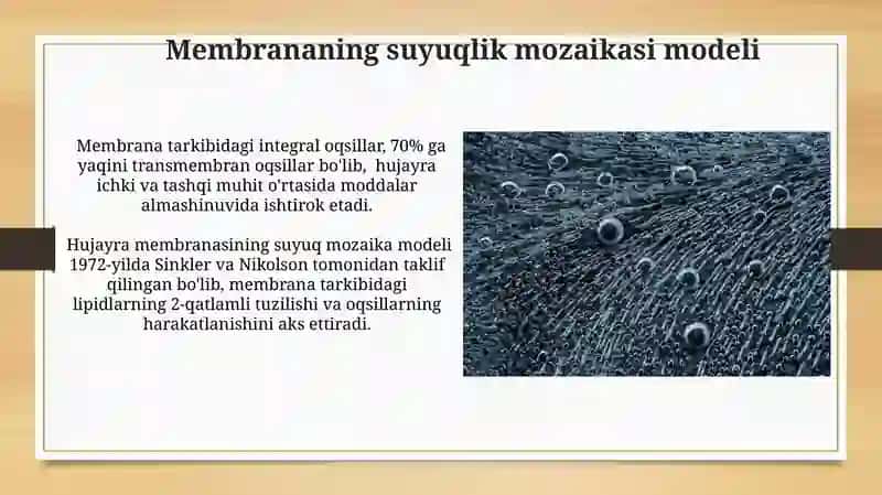 Hujayra menbranasining fizik xossalari Hujayra menbranasi mehanikasi 3