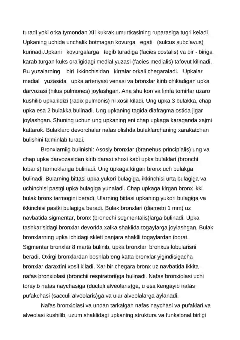 Nafas organlari 3