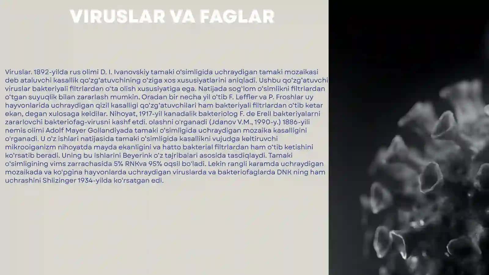Viruslar va faglar. Viruslarning tuzilishi va kimyoviy tarkibi, shakli, hajmi, xususiyatlari. Ko'payishi. Viruslar va faglarning ahamiyati 3
