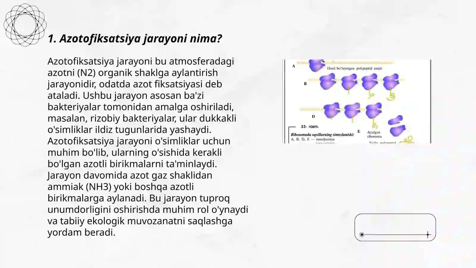 Azotofiksatsiya jarayoni va azotofiksatsiya jarayonining ximizmi bilan tanishish 3
