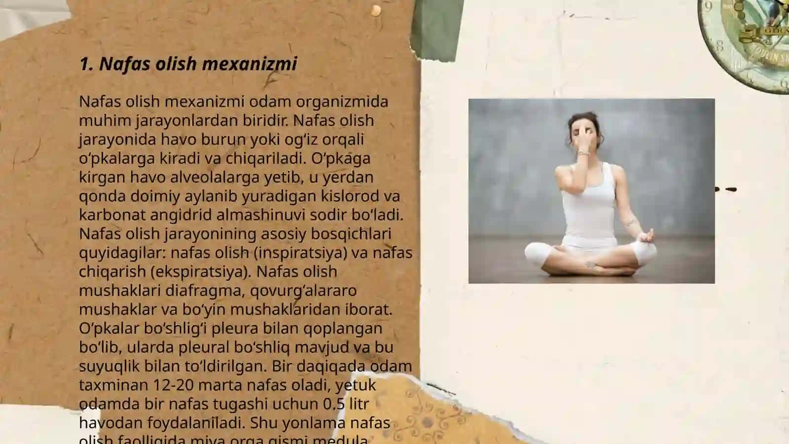 Nafas olish mexanizmi 3