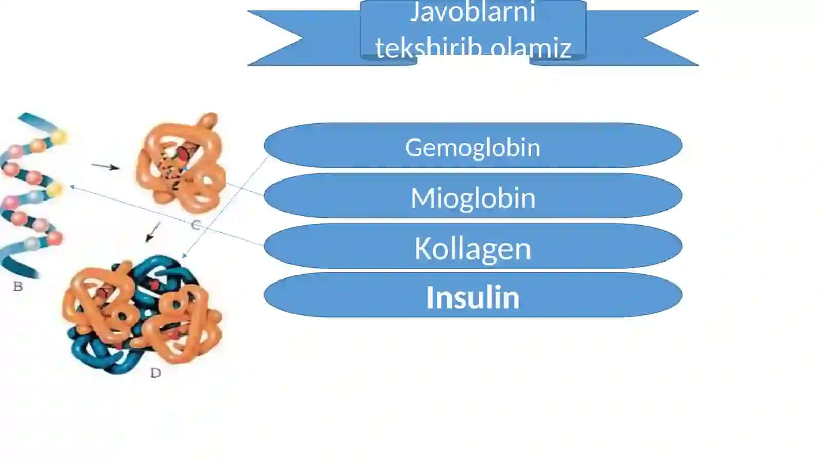 Nuklein kislotalar 3