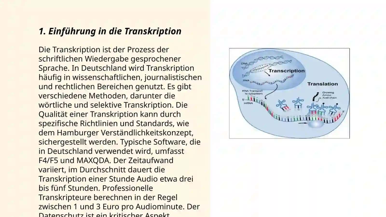 Transkription eines Werbespots Abduhalilova Muqaddasxon 3
