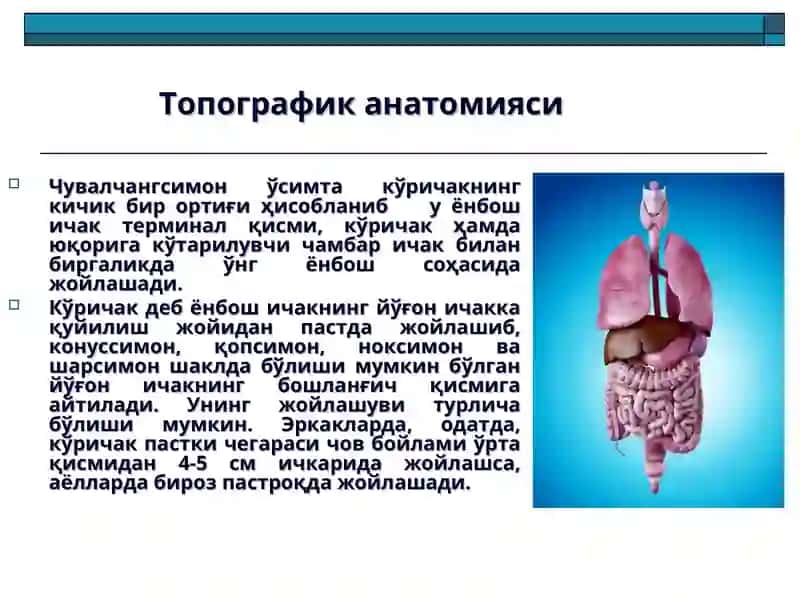 Ўткир аппендицит ва унинг асоратлари 3
