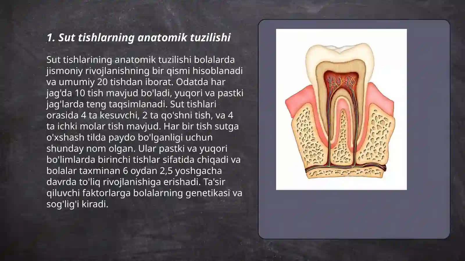 Sut va doimiy tishlarning anatomik, gistologik va qattiq to'qimalarining kimyoviy tuzilishi 3