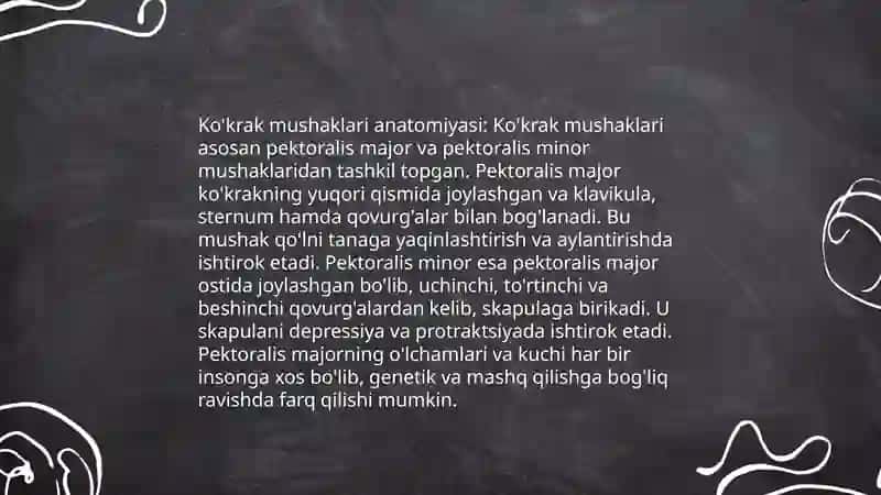 Ko'krak mushaklari anatomiyasi 3
