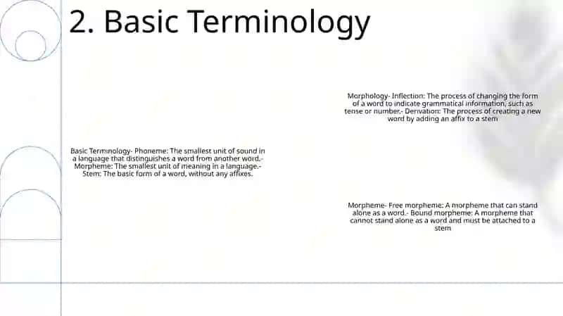 Morphology And Morpheme 3