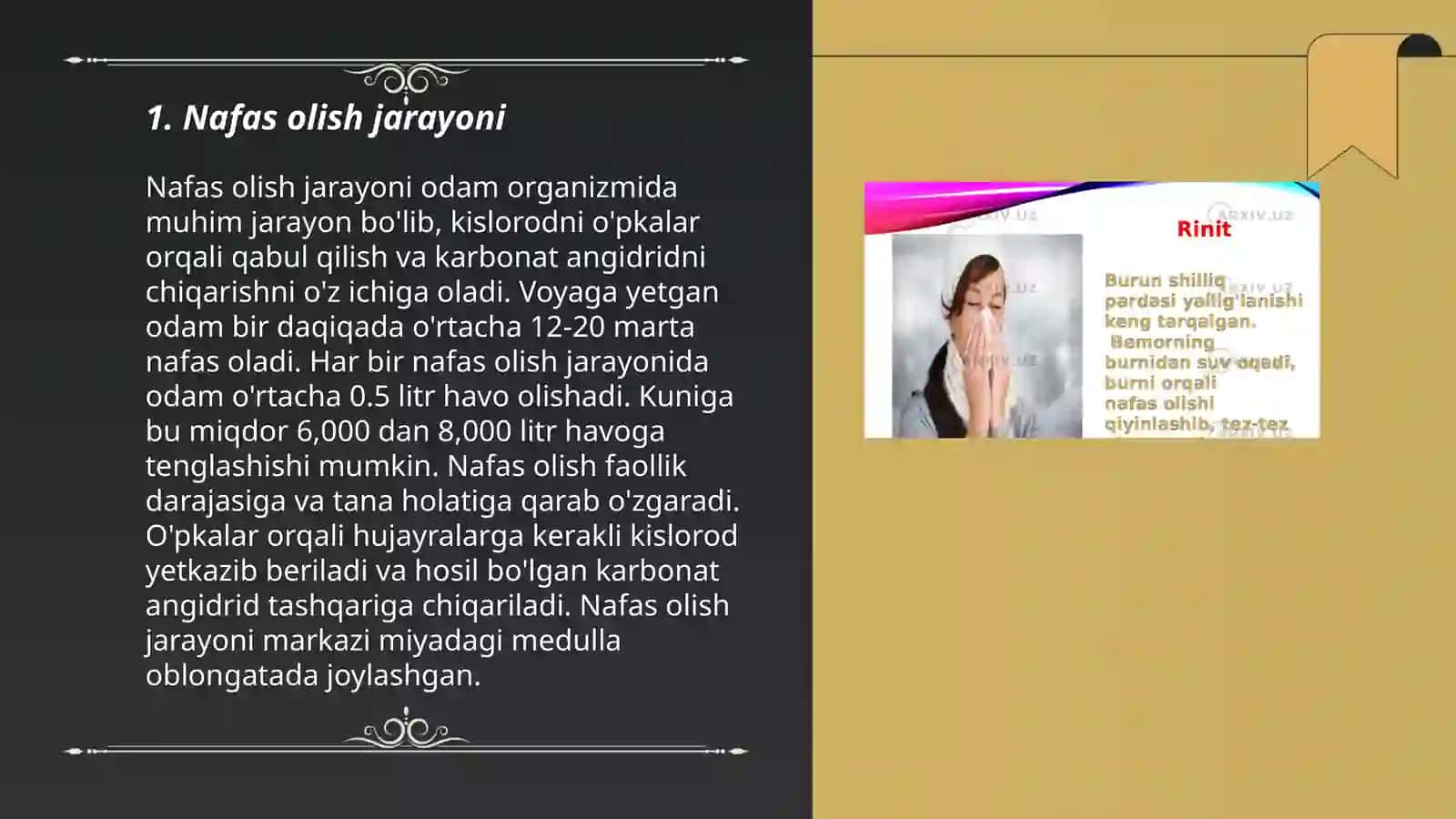 Nafas olish koeffisenti 3