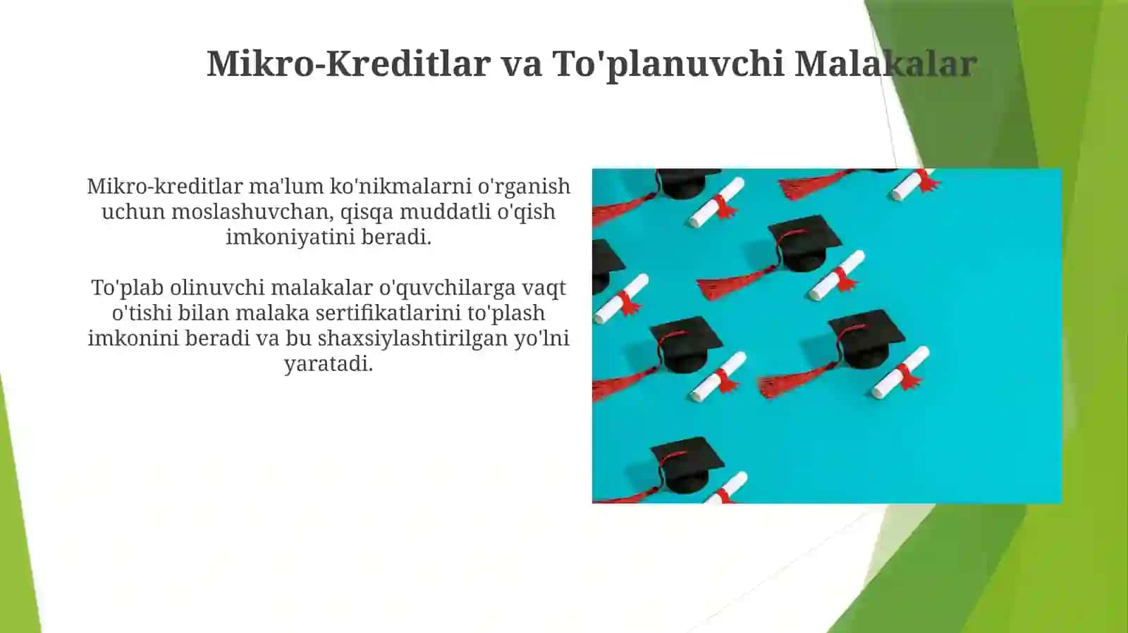 Mikro-Kreditlar va To'planuvchi Malakalar 3