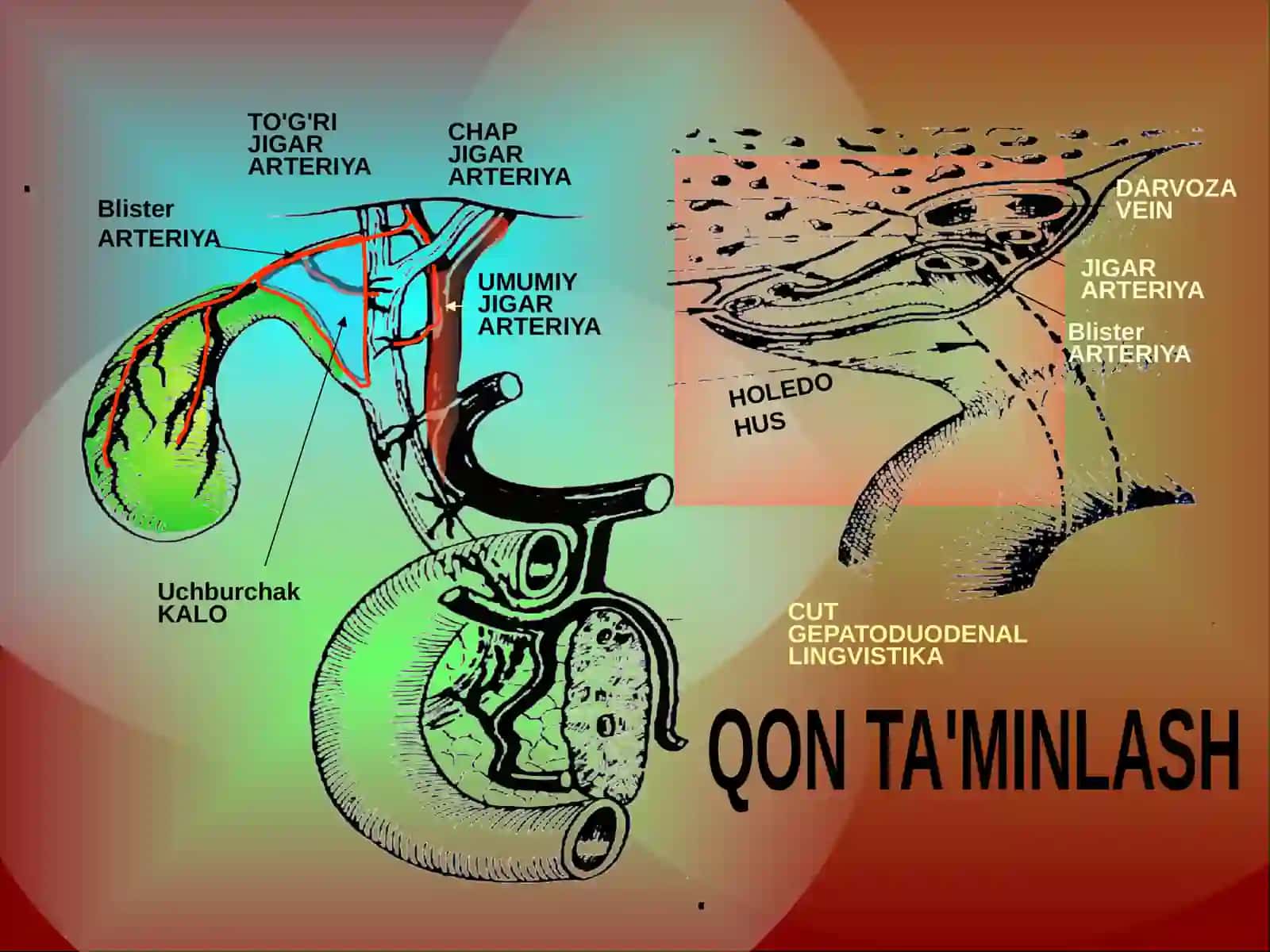 Mexanik sariqlik 3