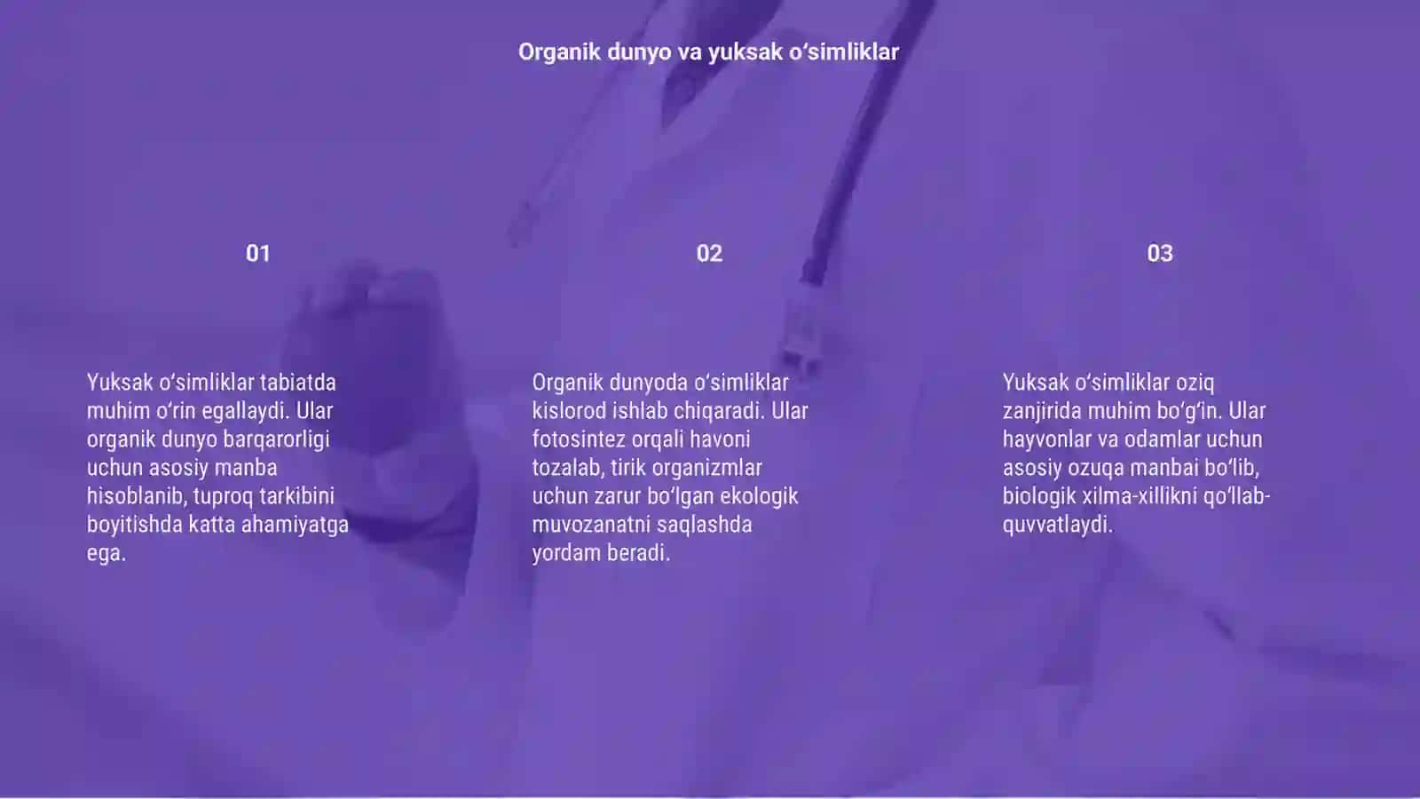 Yuksak oʻsimliklarning oʻrni (yuksak oʻsimliklarning tabiatdagi ahamiyati organik dunyoda oʻsimliklarning oʻrni) 3