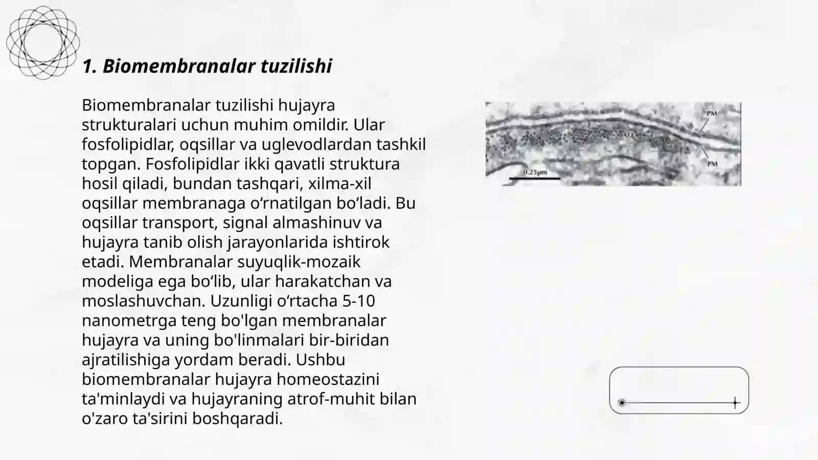 Biomembranalar 3