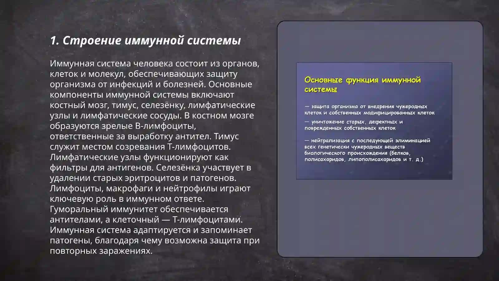 Иммунная система 3