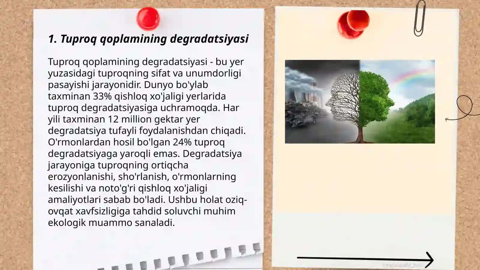Tuproq qoplamining antropogen omillar ta’sirida ifloslanish muammolari 3