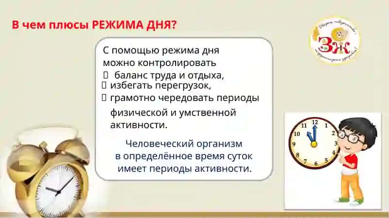 РЕЖИМ ДНЯ 3