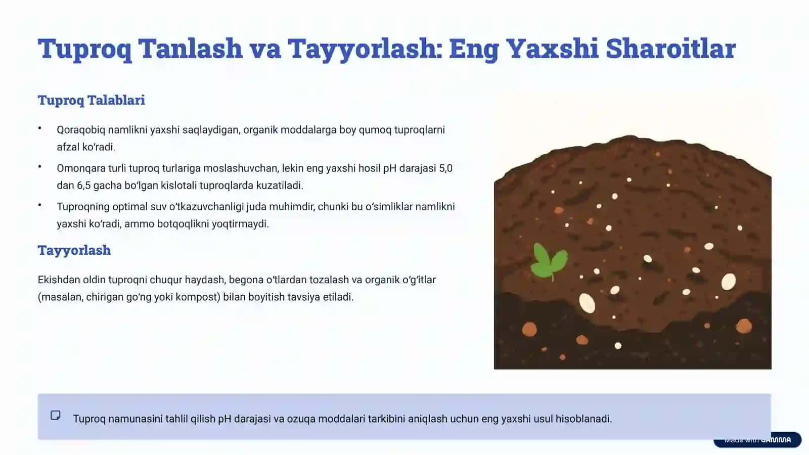 Viktor Qoraqobigʻi va Omonqara Yetishtirish Texnologiyasi 3