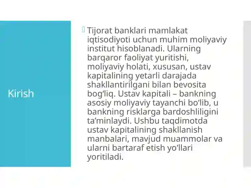 Tijorat banklari ustav kapitalini shakllantirish manbalari, mavjud muammolar va ularni bartaraf etish yo‘llari 3