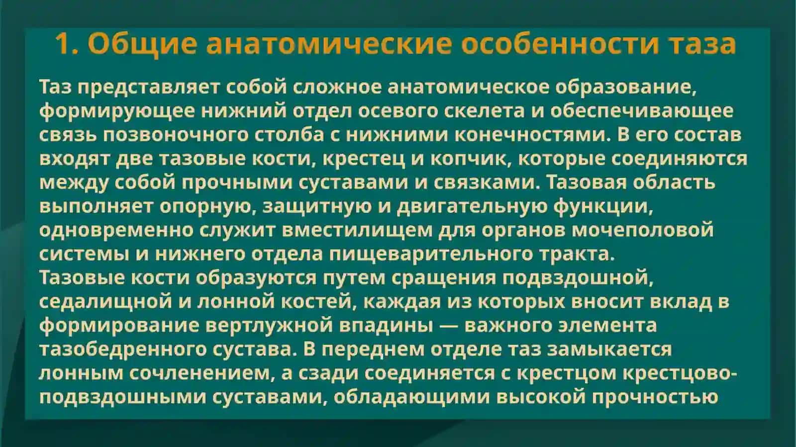 Особенности строения мужского и женского таза 3