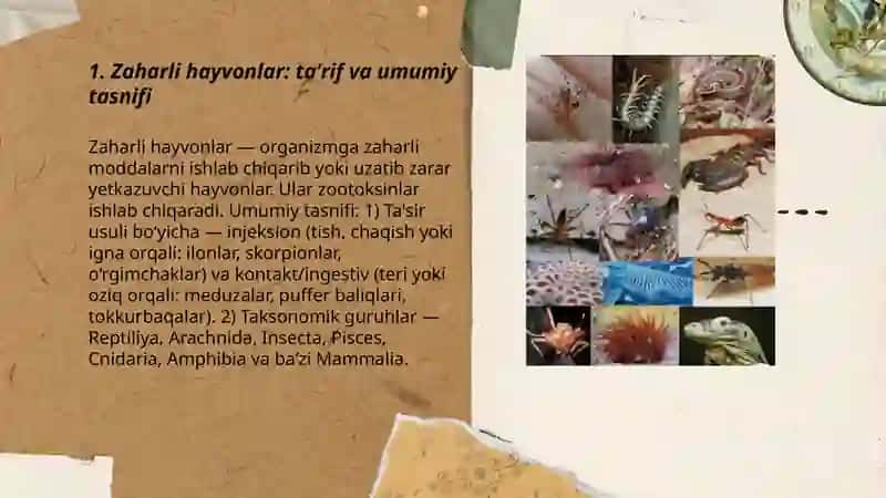 Zaharli hayvonlar. Tasnifi (klasifikasmyasi).Hayvon zaharlari(zootoksin-lar) 3