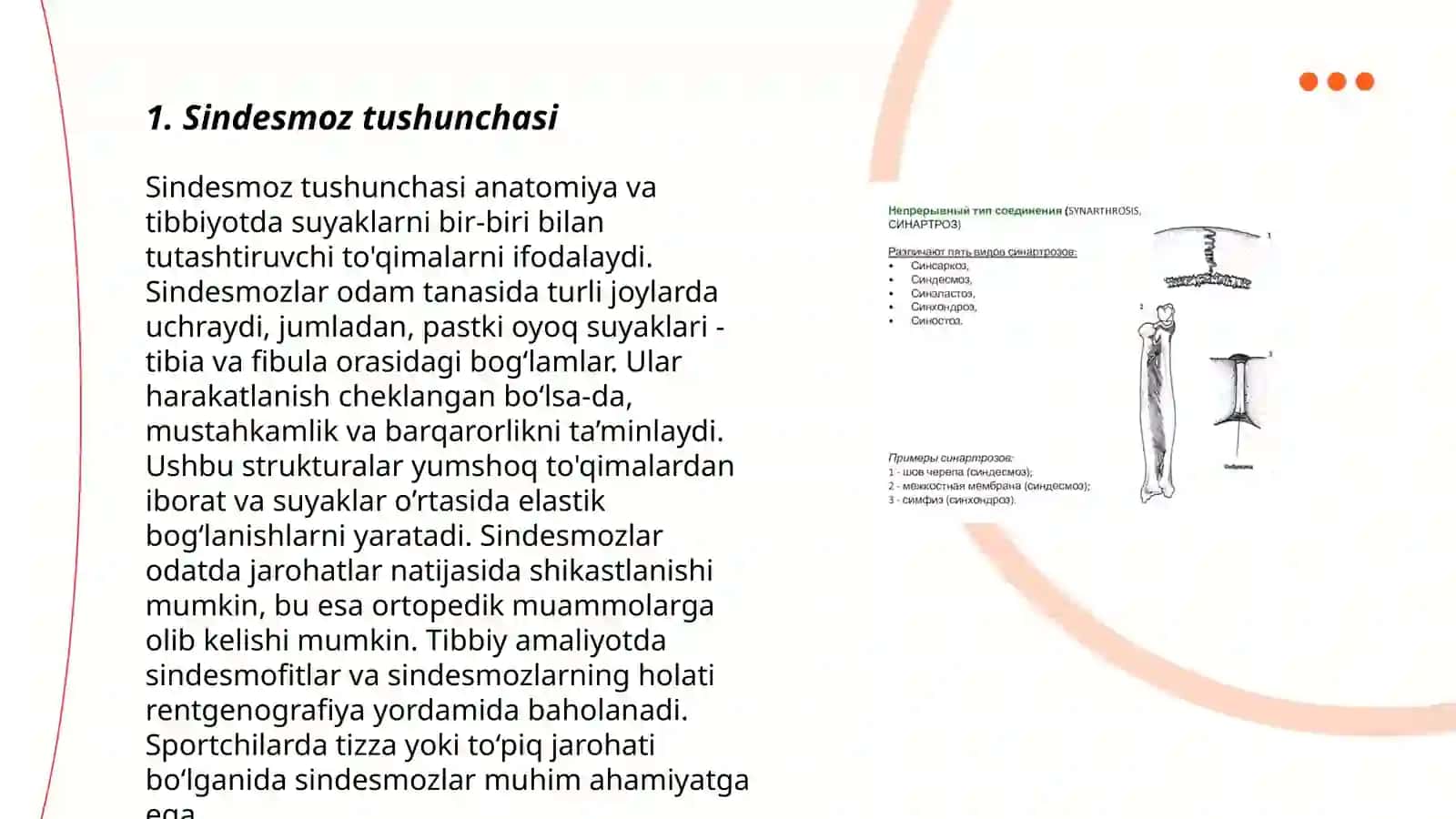Sindesmoz sinxondroz sinoztoz birlashuvlar 3