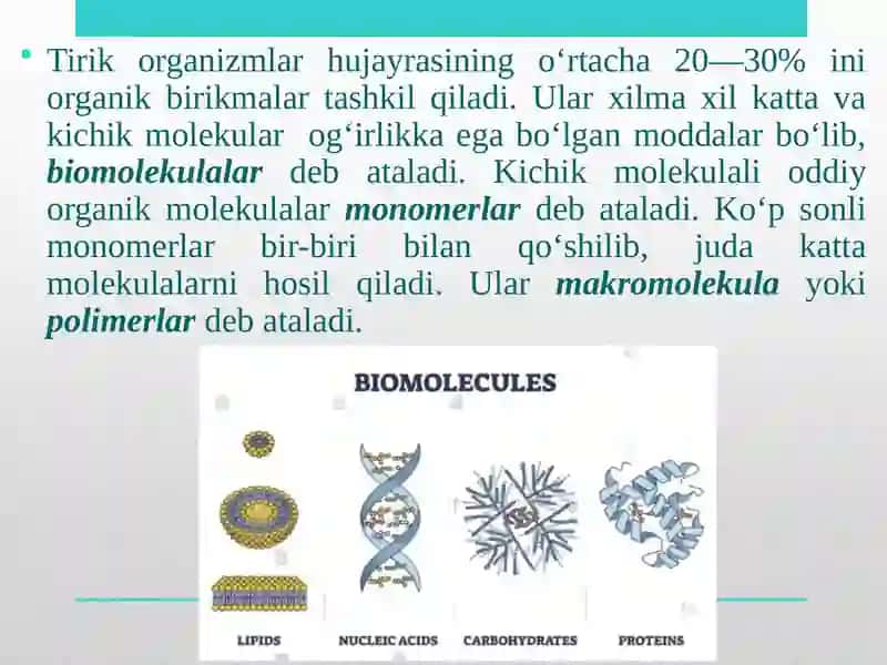 Biomolekulalar: oqsillar, uglivodlar, lipidlar 3