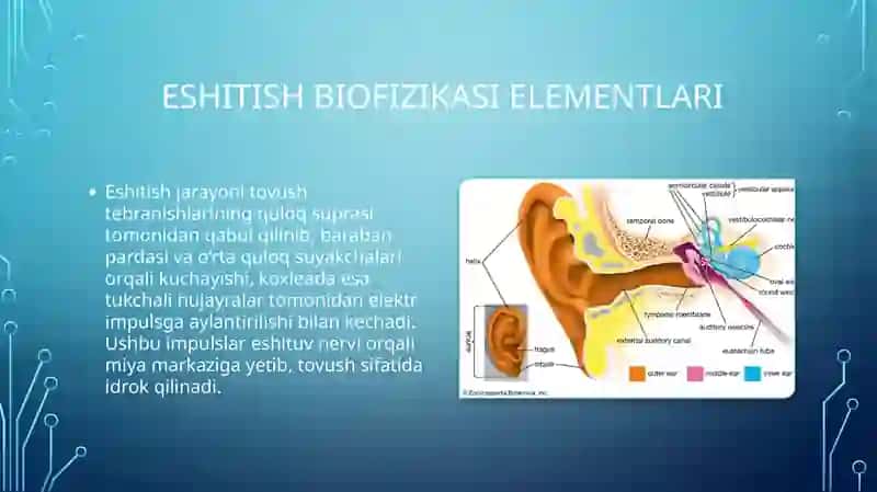 Biofizika - Eshitish biofizikasi elementlari, koxlear implantatsiya, radioto'lqinli jarrohlik va lit 3